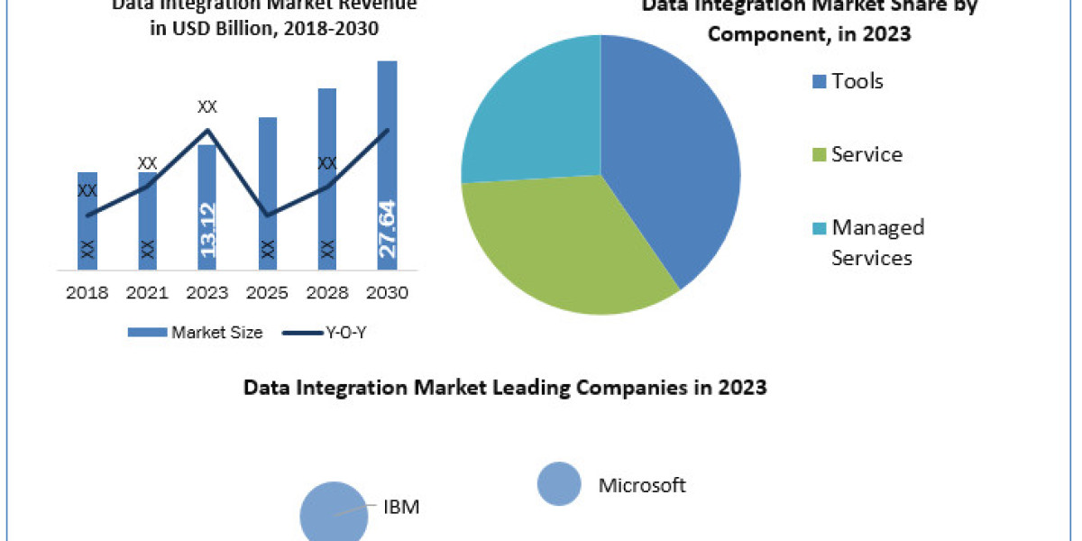 Data Integration Market Growth Rate , Competition Landscape And Forecast 2030