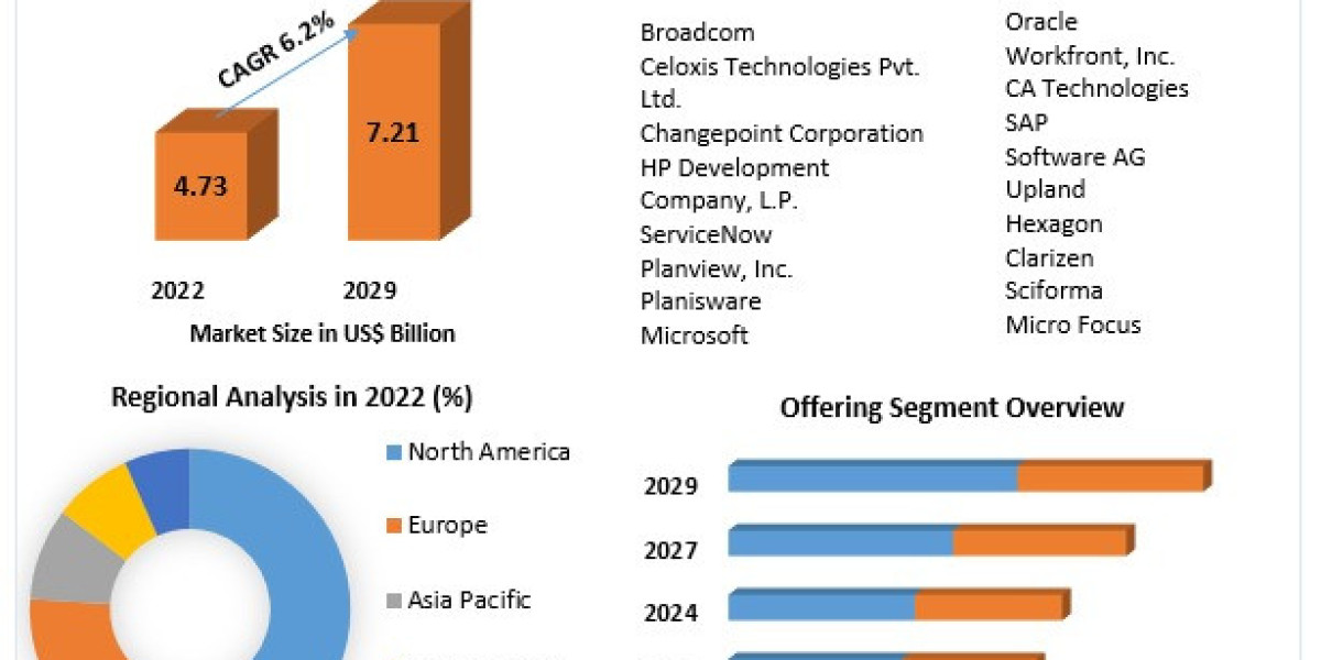 Project Portfolio Management Market Innovations Driving Global Adoption: Regional Insights and Applications 2029