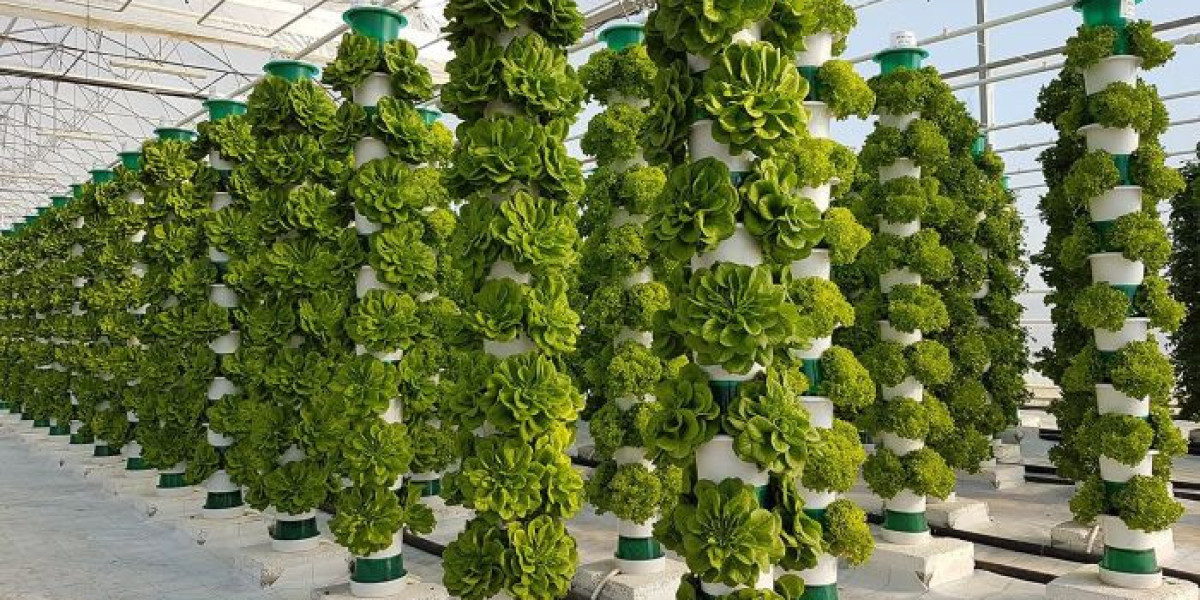 Vertical Farming Market Report Includes Dynamics, Products, and Application 2024 –  2035