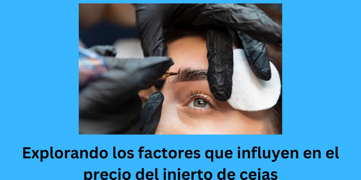 Explorando los factores que influyen en el precio del injerto de cejas