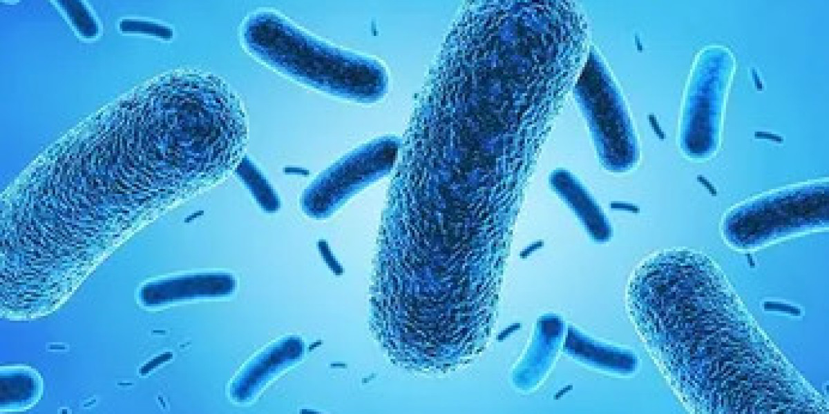 Antimicrobial Coatings Market Growth Trends Analysis and Dynamic Demand, Forecast 2024 to 2034