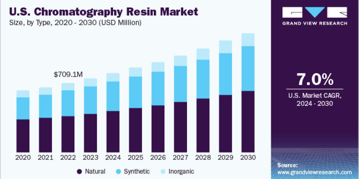 Chromatography Resin Market Strategies: Adapting to Regulatory Changes and Standards