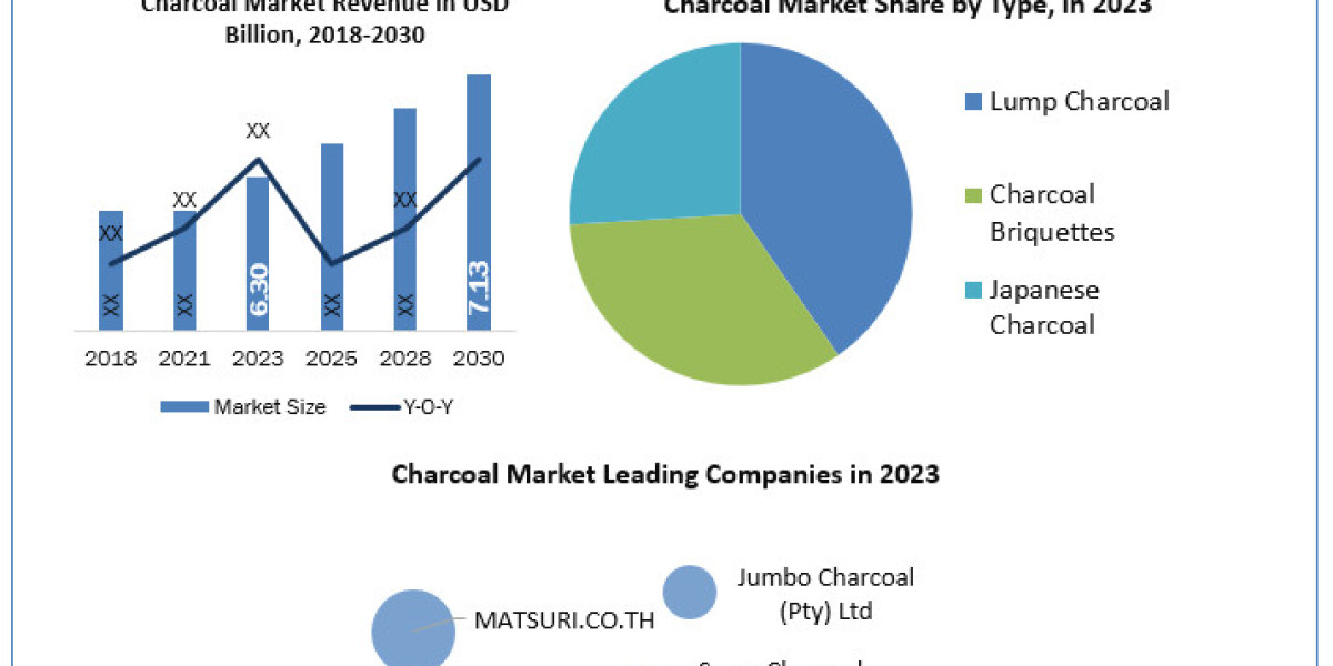 Charcoal Market Manufacturers, Suppliers, Vendors Sales, Revenue, Market Share  to 2030