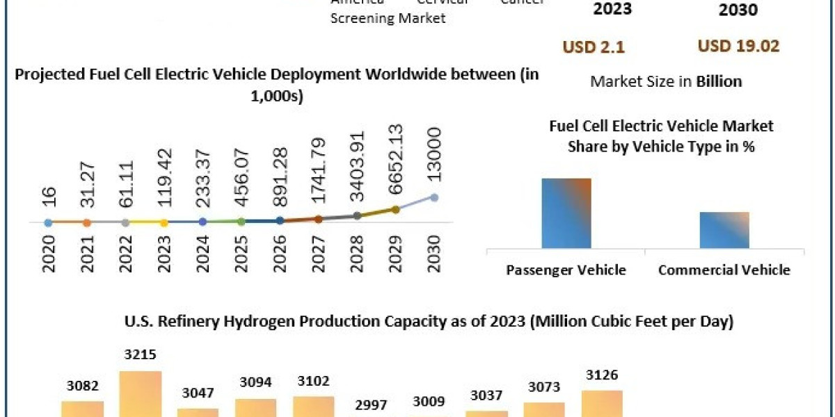 Fuel Cell Electric Vehicle Market Business Strategies, Revenue and Growth Rate Upto 2030