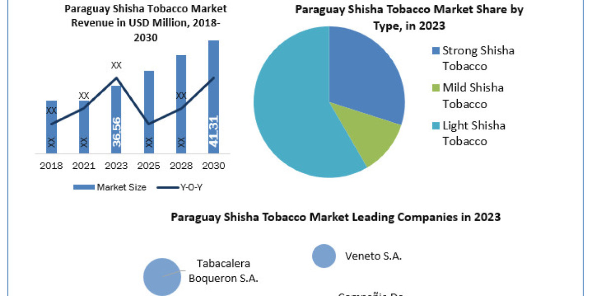 Paraguay Shisha Tobacco Market Metrics Unleashed: Segmentation, Outlook, and Overview Trends   2030