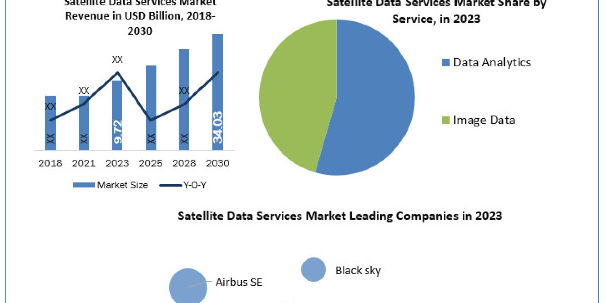 Satellite Data Services Market Size, Opportunities, Company Profile, Developments and Outlook   2030