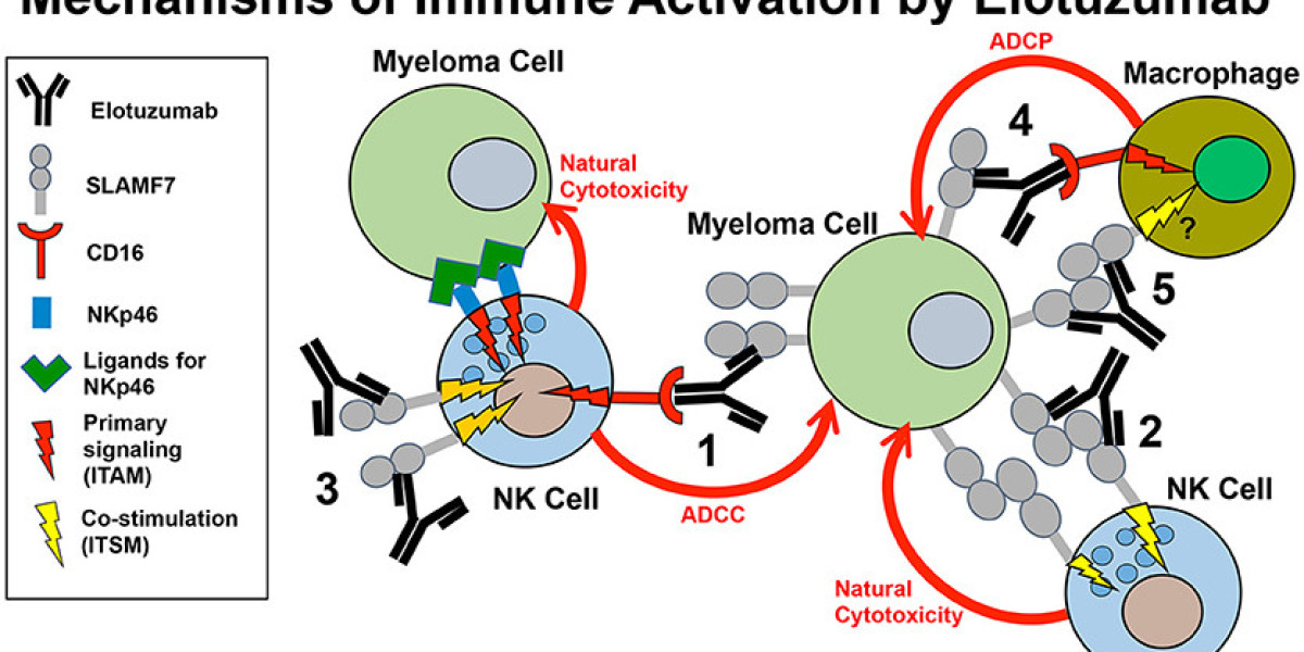 "Elotuzumab Market Research: Future Outlook by Indication and Region"