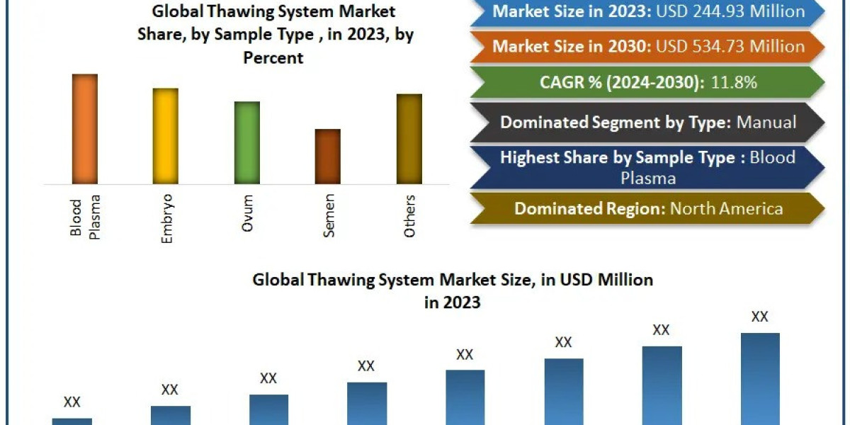 Thawing System Industry Growth Projections: Trends and Forecasts for 2030