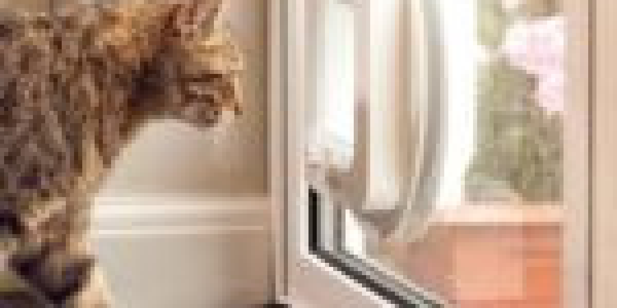 You'll Never Guess This Cat Door Contractor's Tricks