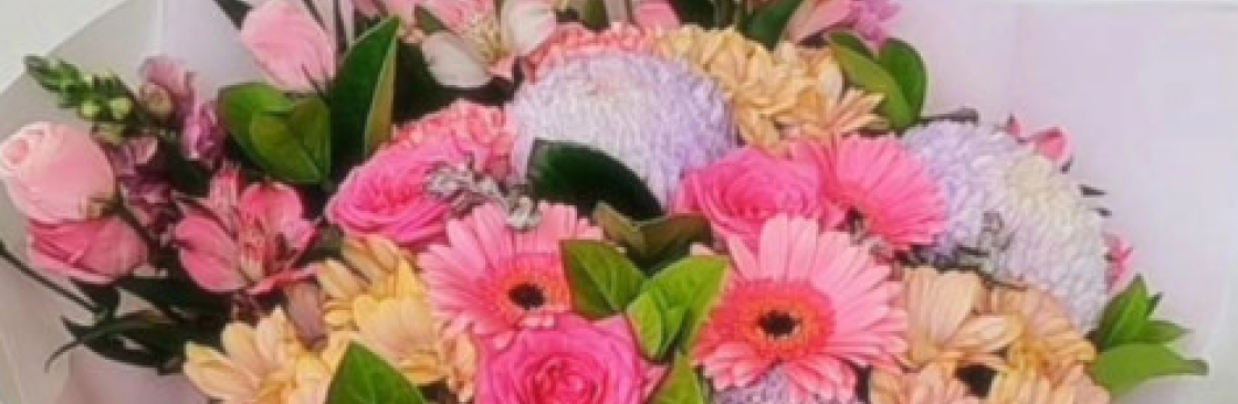 blossomby daisy Cover Image