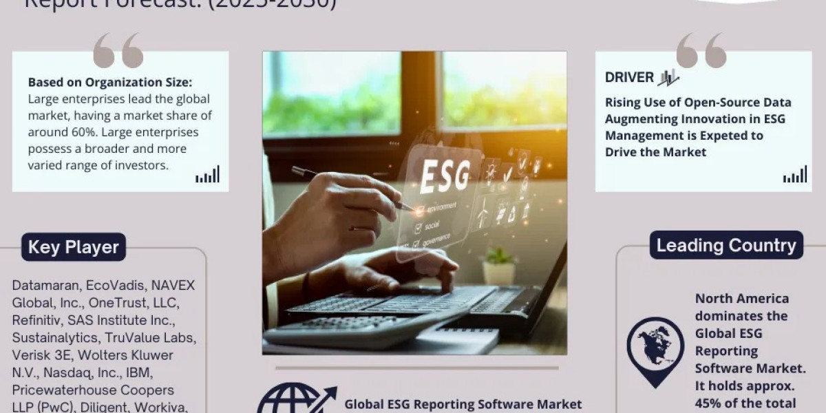 Analyzing the ESG Reporting Software Market: Size, Trends, Growth, and Forecast