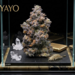 Top Corporate Gift Ideas for Employees and Clients – Track Courier