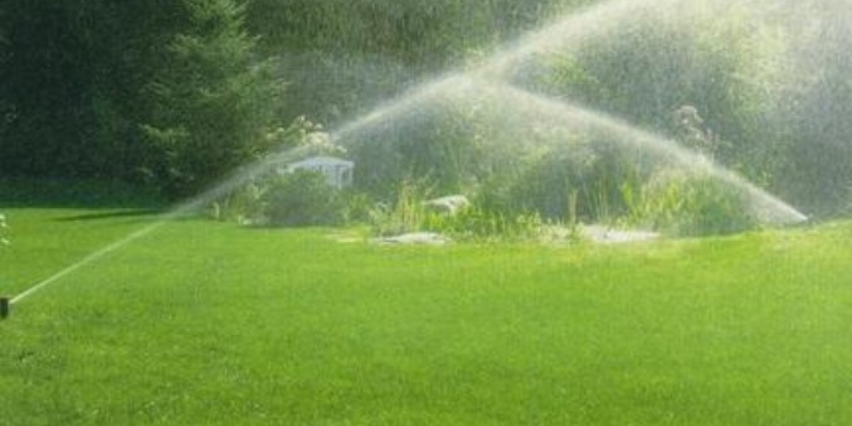 Smart Watering Habits for Healthier Landscapes