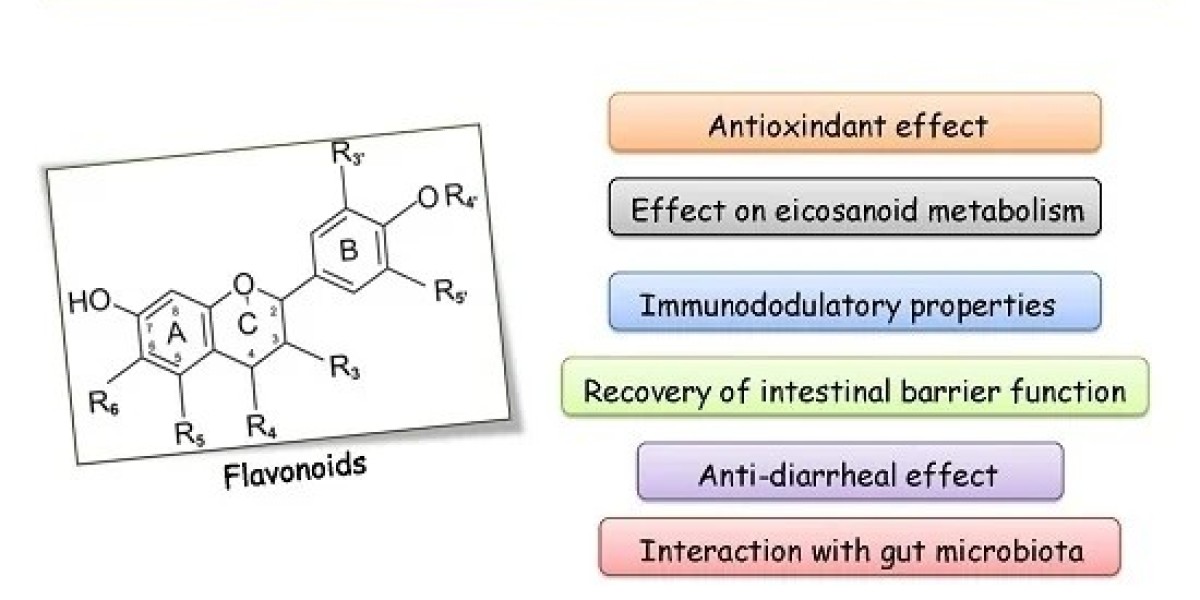 Canada Flavonoids Market: Rising Demand for Natural Health & Wellness Ingredients