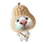 qifang qifang profile picture