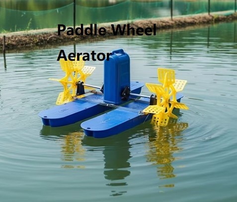 chinaa chinaa Profile Picture