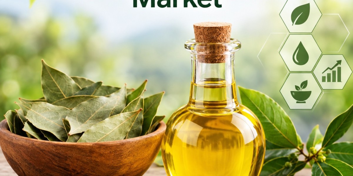 Global Bay Leaf Oil Market Outlook 2034: Size, Market Share, Value Chain Analysis, and Key Trends
