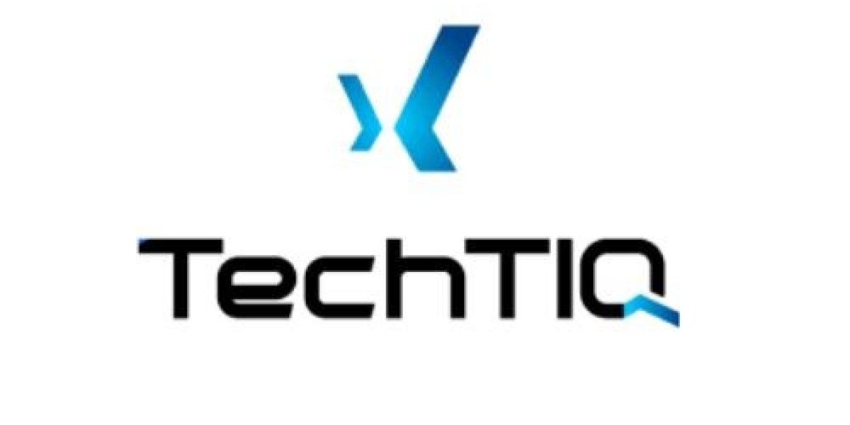TechTIQ Inc. | AI Development & Custom Software Partner U.S